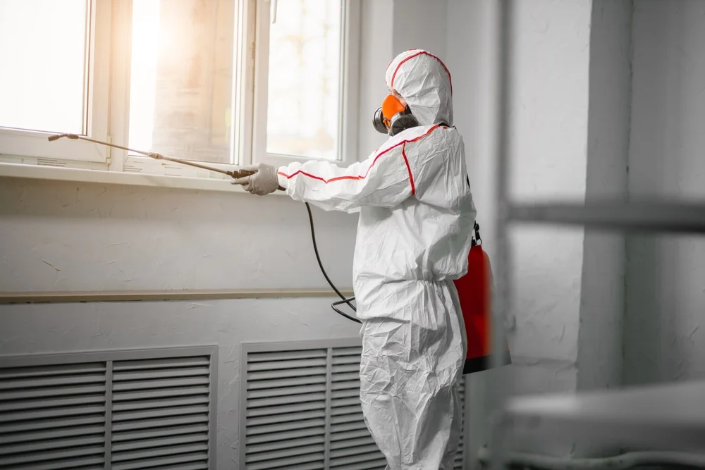 Professional mold remediation services in Oakhurst, OK